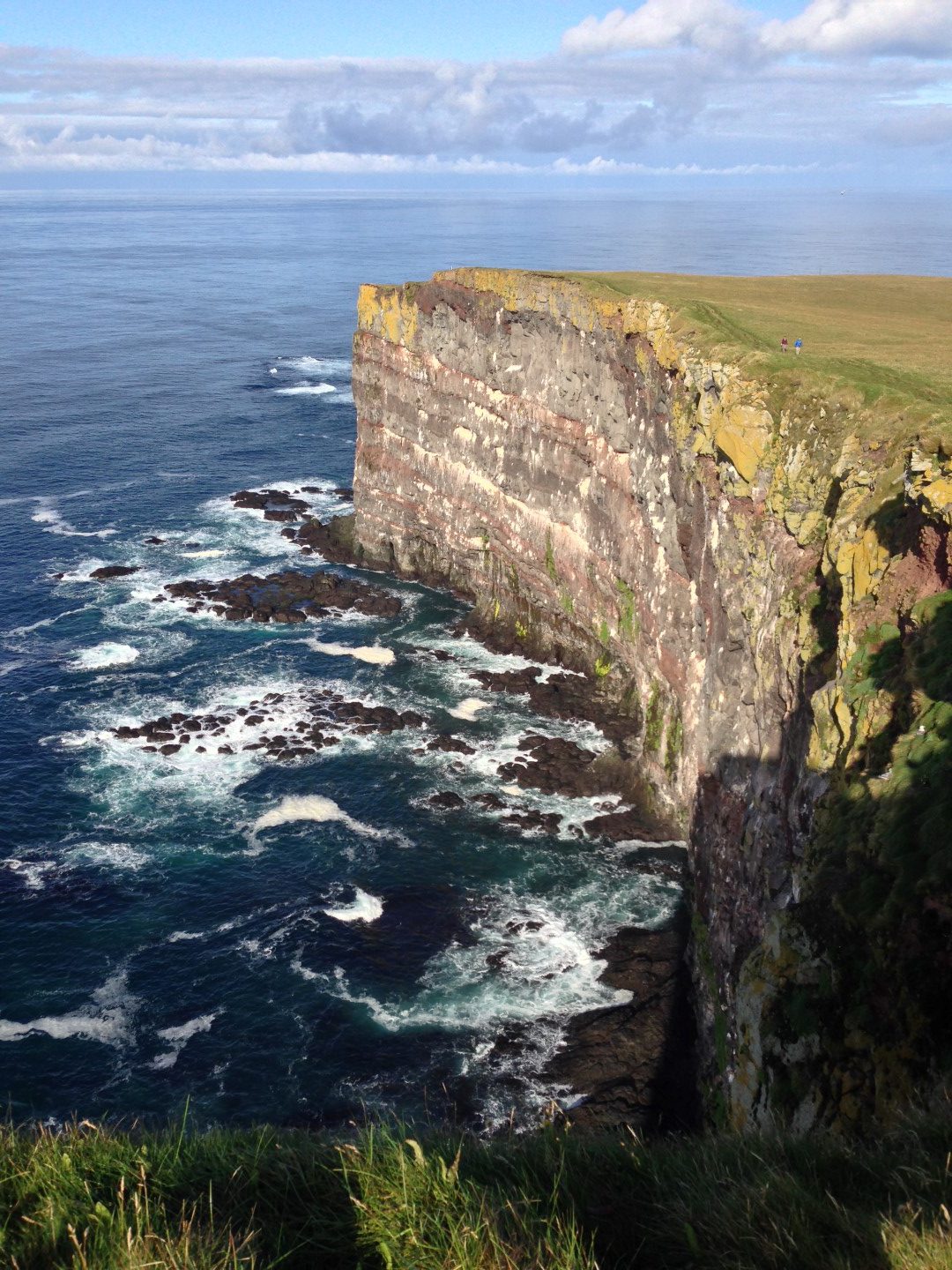 Birdrock - Latrabjarg