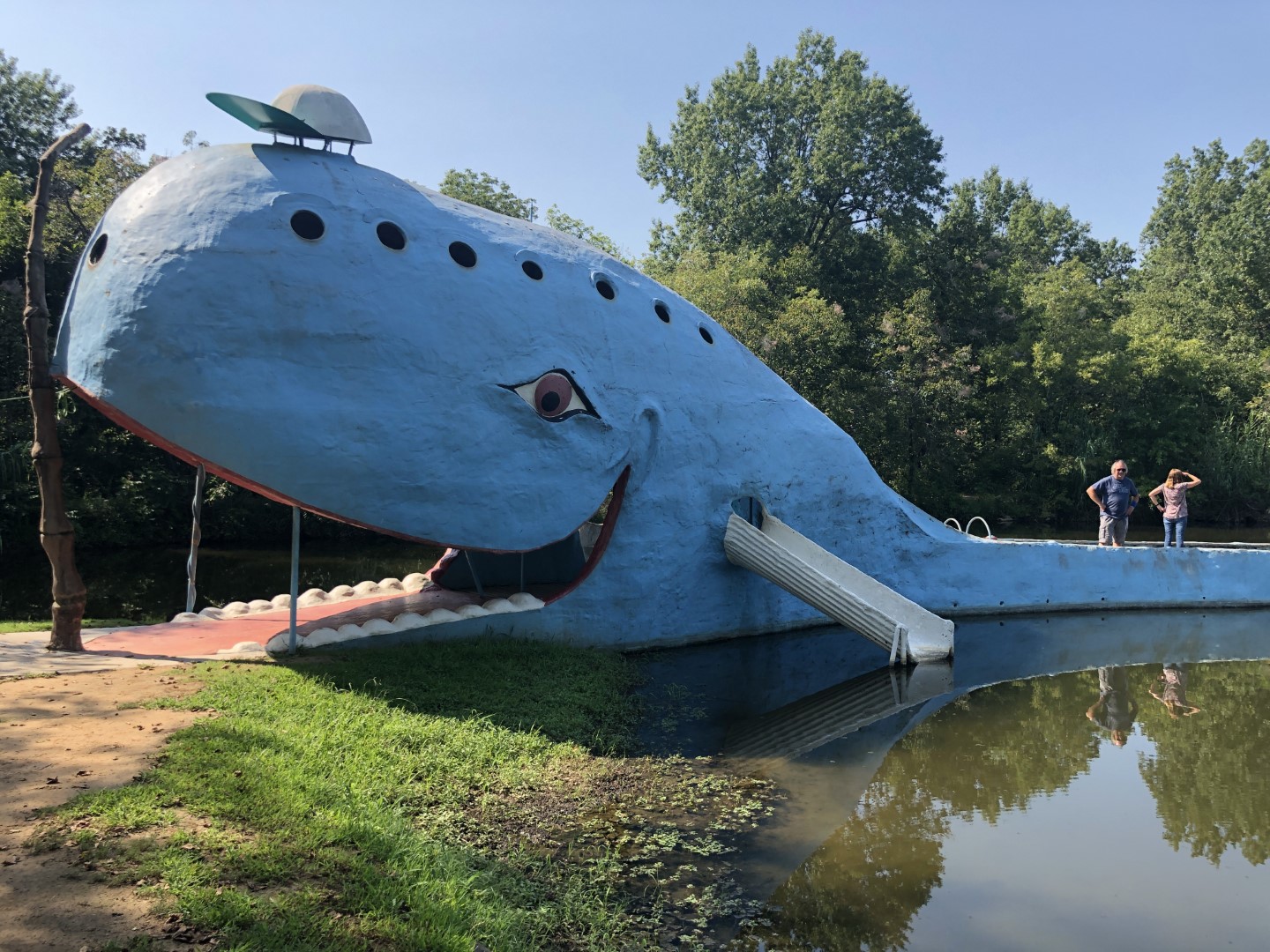 Blue Whale