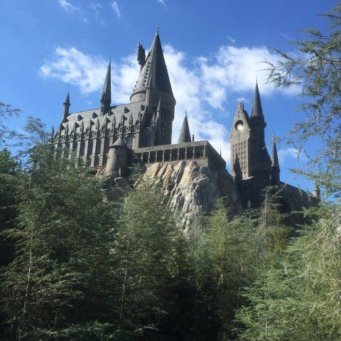 Hogwarts Castle