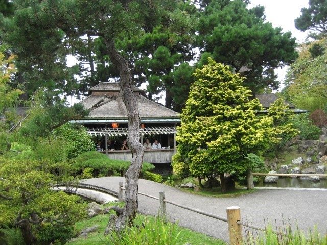 Golden Gate Park