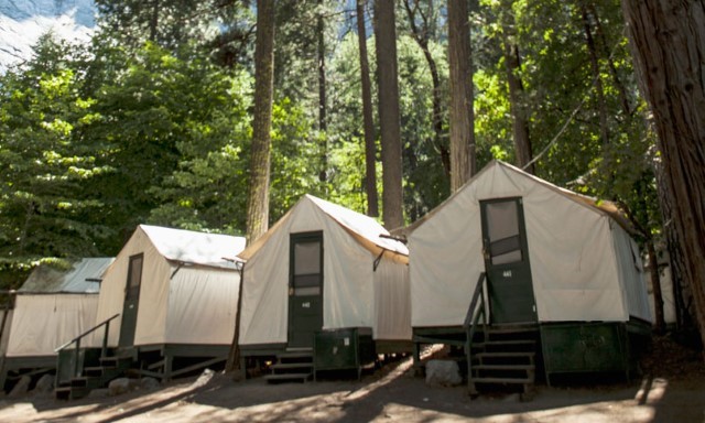 Camp Curry